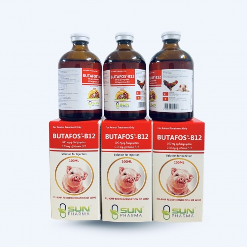 BUTAFOS-B12